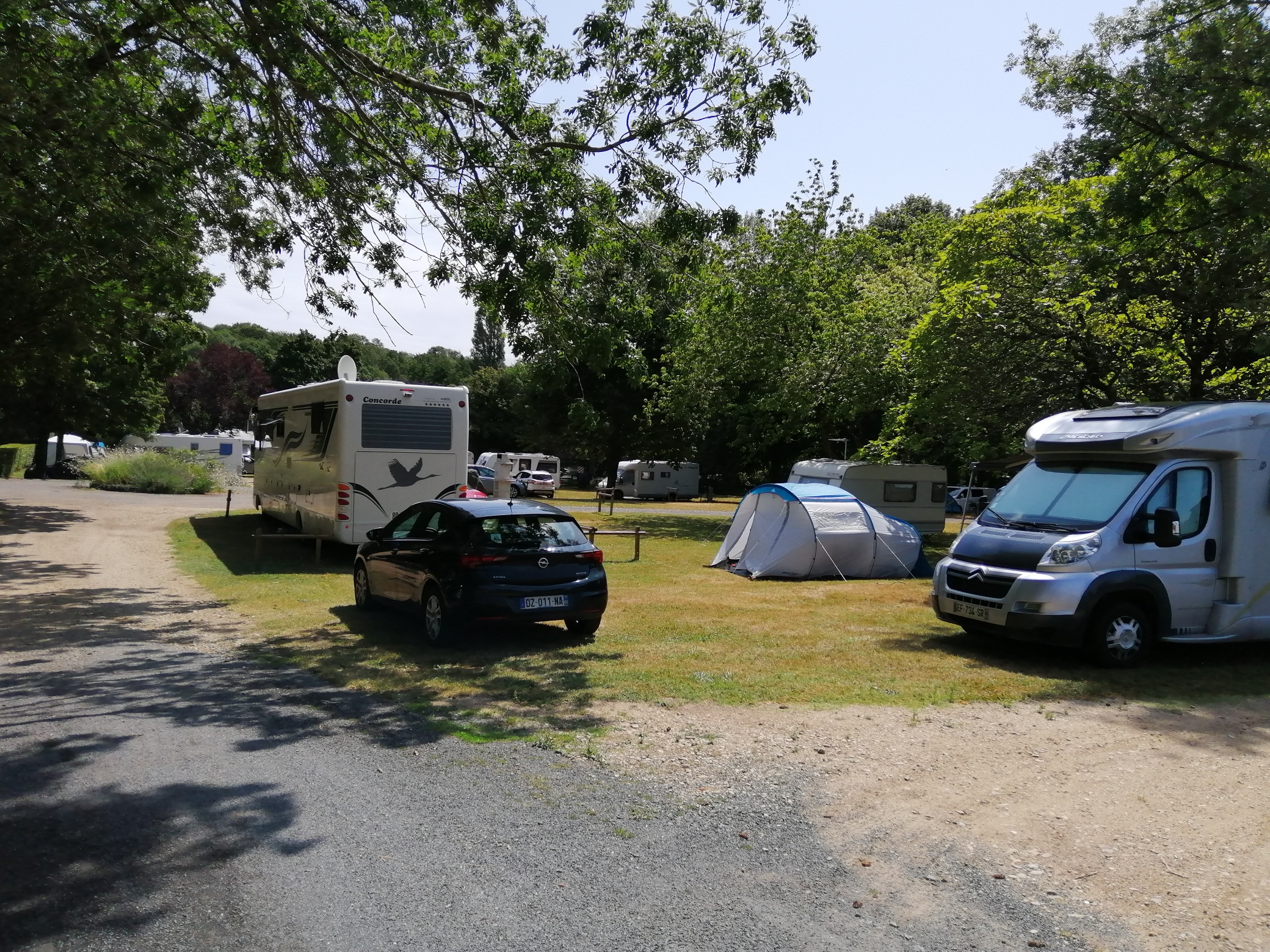 camping