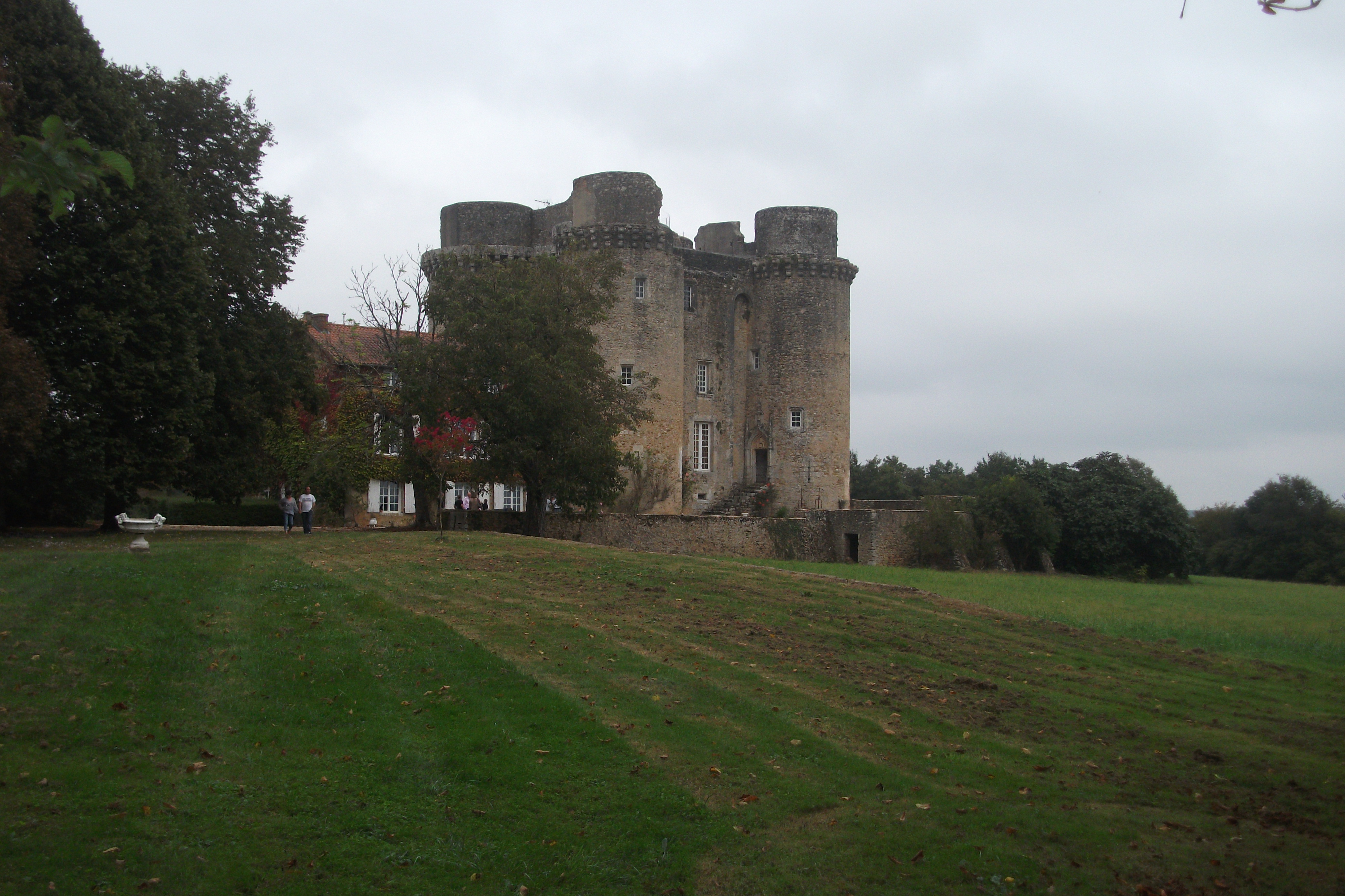DSCF1054.JPG